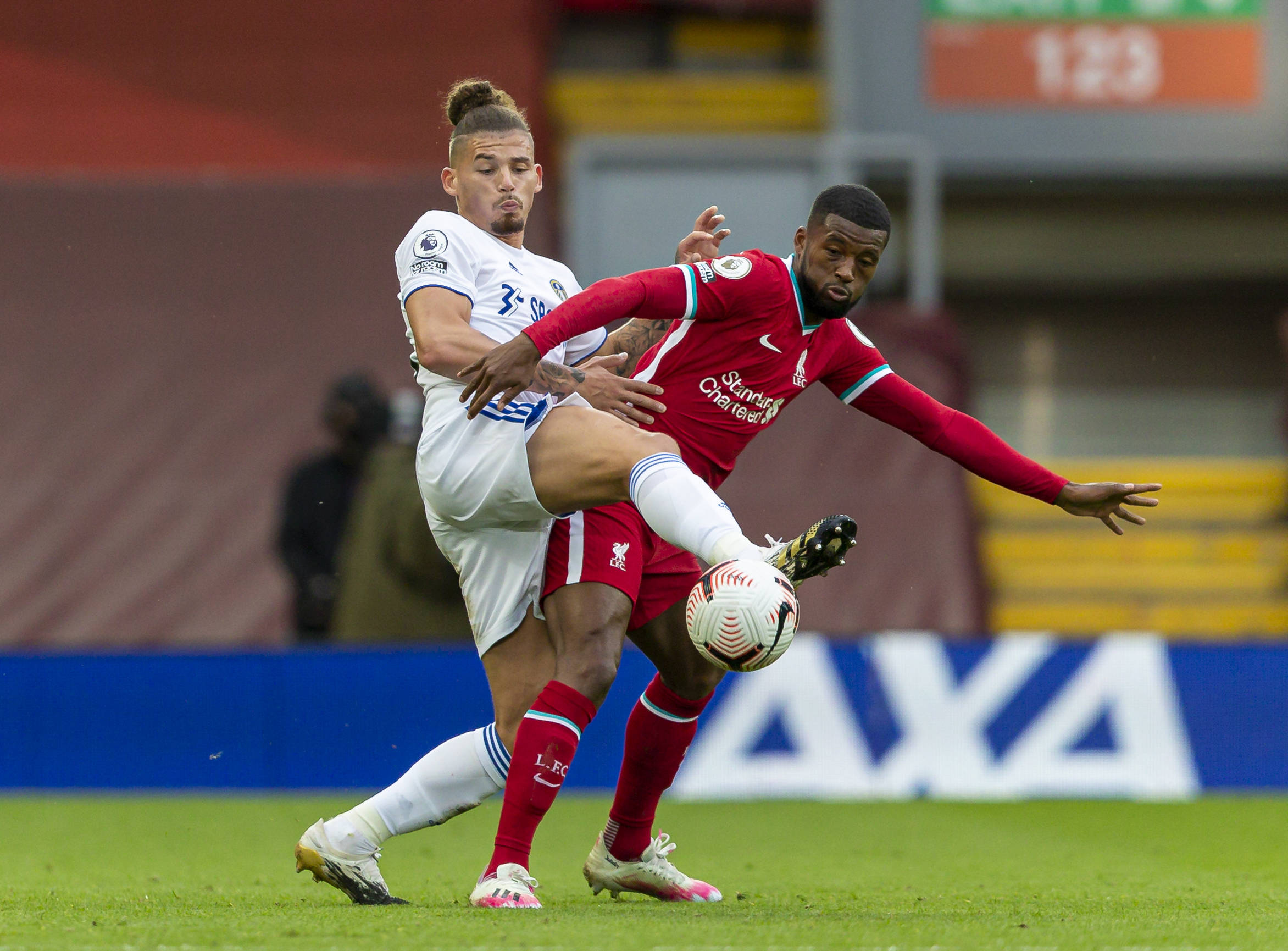 性显得略有 性显得略有